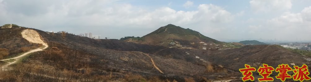 2011-05-02 10.09.31.jpg